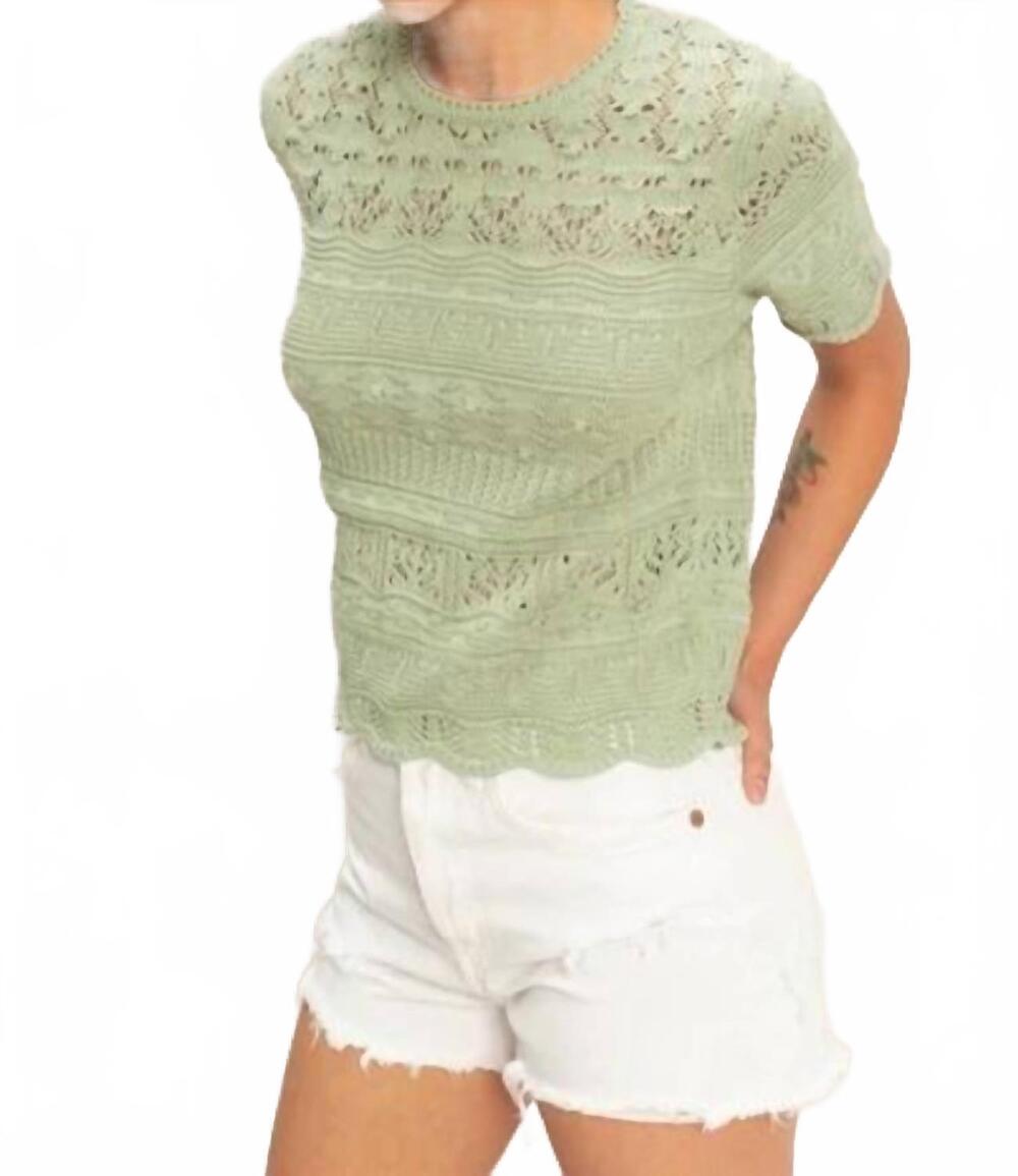 NEW DOUBLE ZERO sophia pointelle knit short sleeve top in sage green